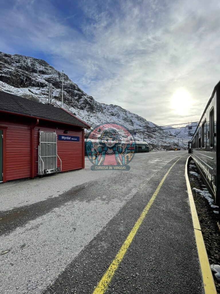 costo trasporti in norvegia