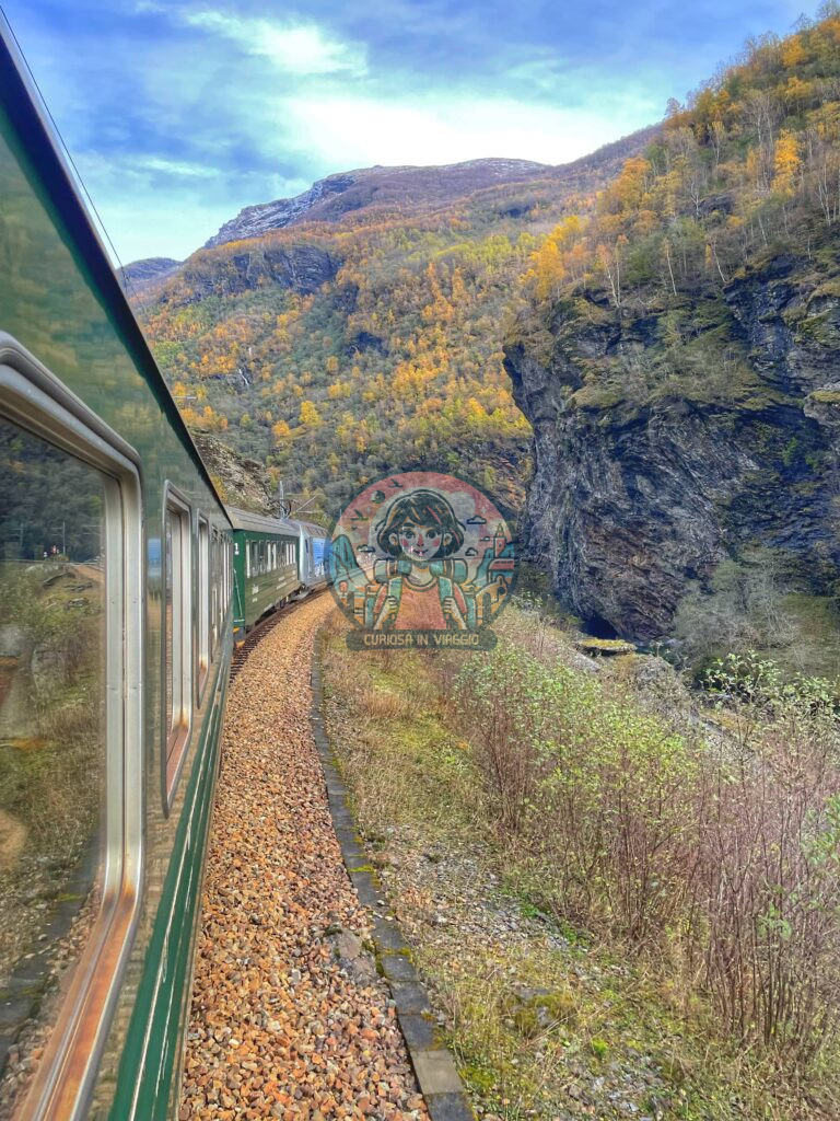 flam railway oslo bergen